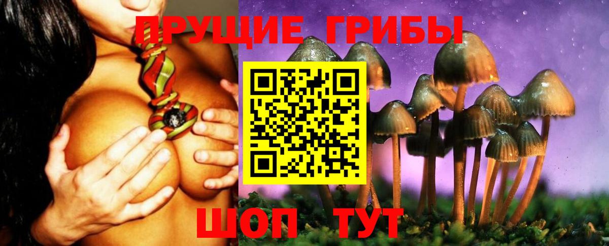 Псилоцибиновые грибы ЛСД Красногорск